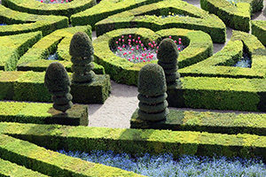 jardin con plantas con forma de corazon, simboliza el jardin del amor